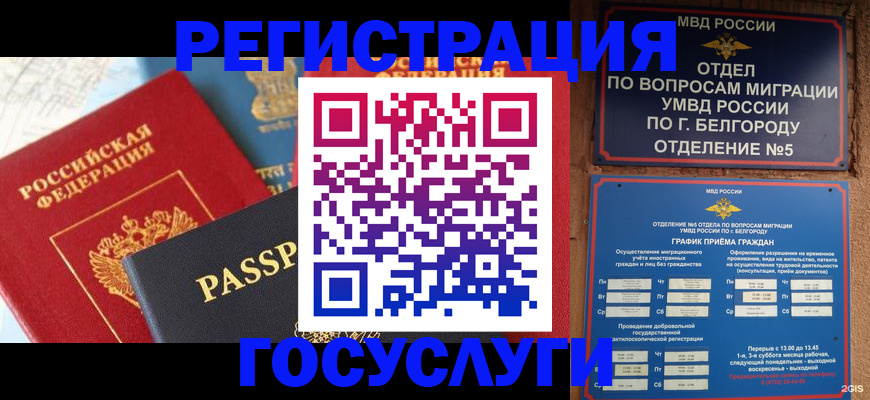 регистрация для школы в Кольчугино